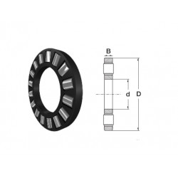 K81102TV Premium Economy Axial Cylindrical Roller Bearing with Cage (No washers) 15x28x3.5mm