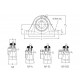NP2-7/8 RHP Cast Iron Pillow Block Unit With a 2-7/8 inch Shaft Dia.