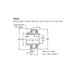 1120-20CG RHP Bearing Insert 20mm Bore Complete with Snap Ring