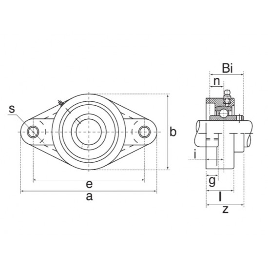 SSUCTFL205 Thermoplastic Two Bolt Oval Flange Housing with a 25mm Bore Stainless Insert