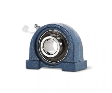 Small Footprint 2 Bolt Cast Iron Pillow Blocks with a Threaded Base