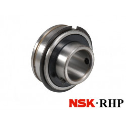 1120-20CG RHP Bearing Insert 20mm Bore Complete with Snap Ring