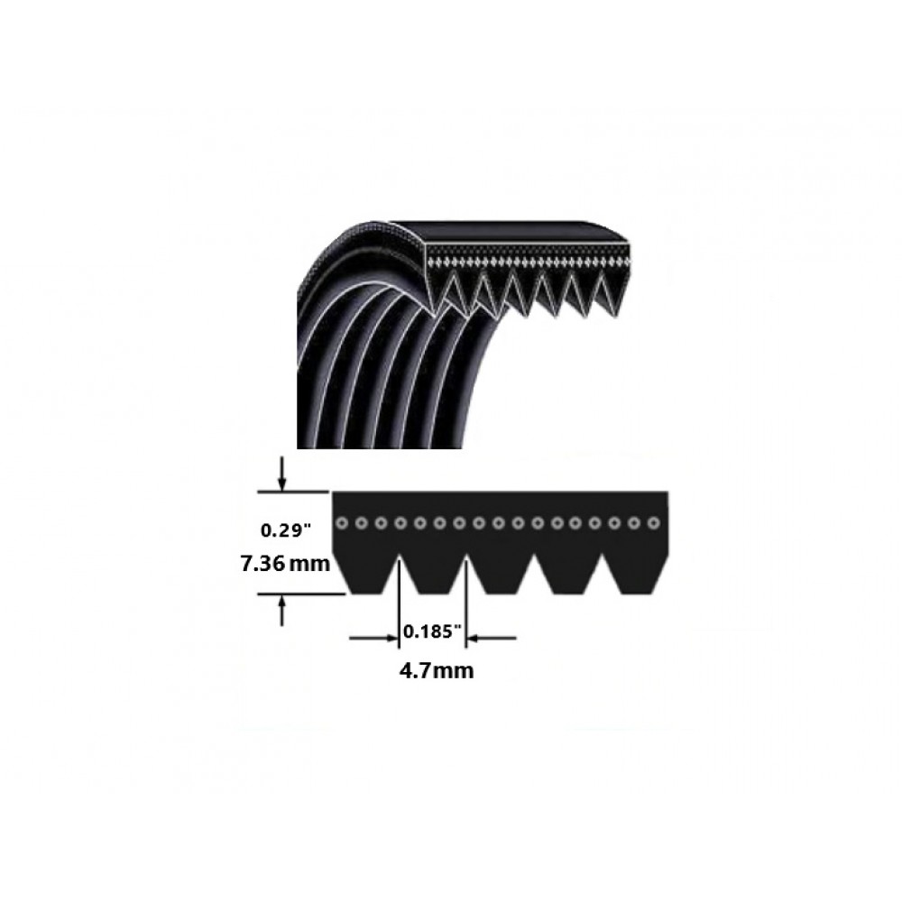 1075PL/423L Branded MultiRibbed Poly VBelt 1075mm/42.3 Inch Length