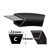 C51 Branded C-Section V-Belt